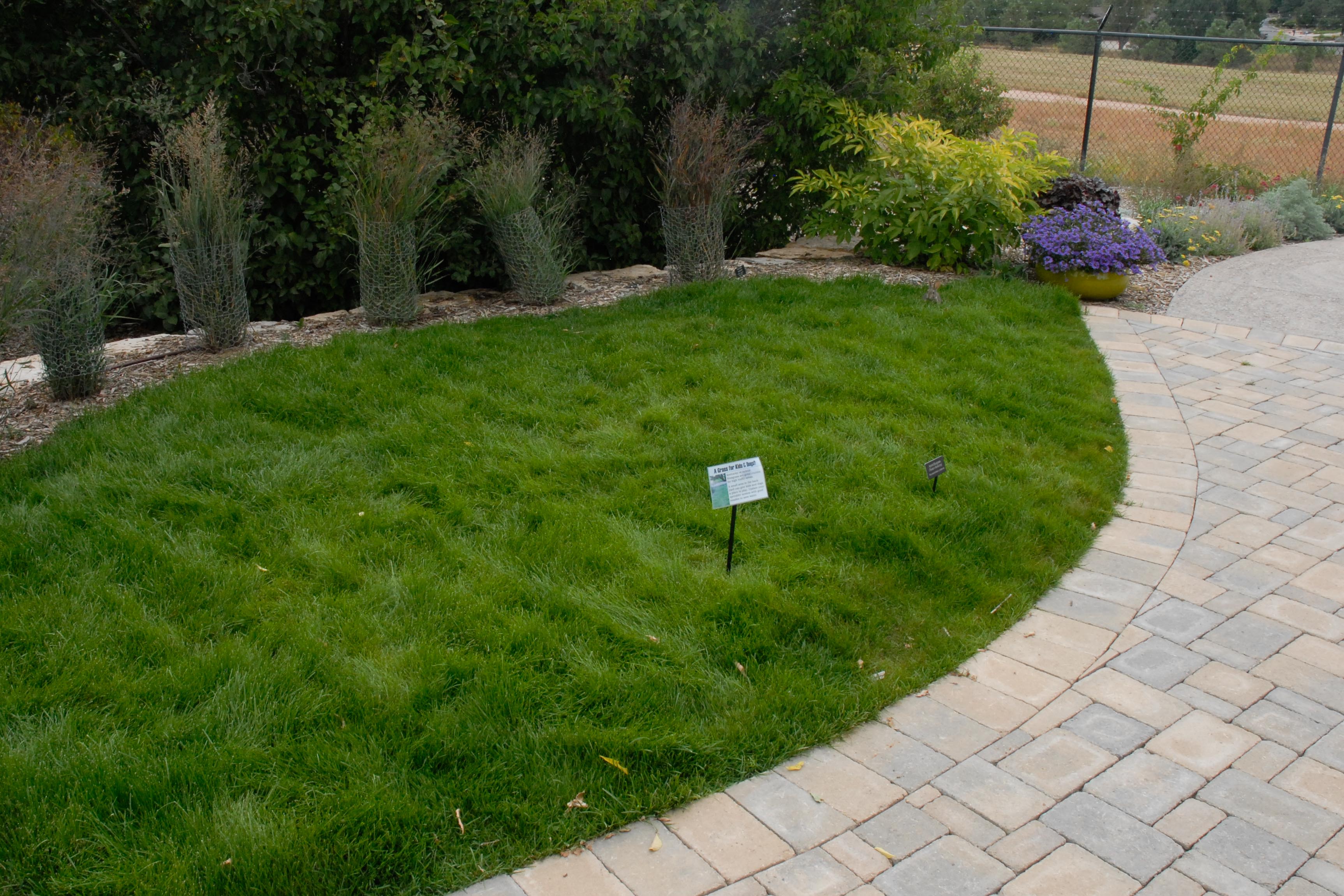 Water Wise Neighborhood